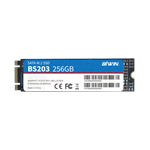 M.2 SATA SSD（圖1）