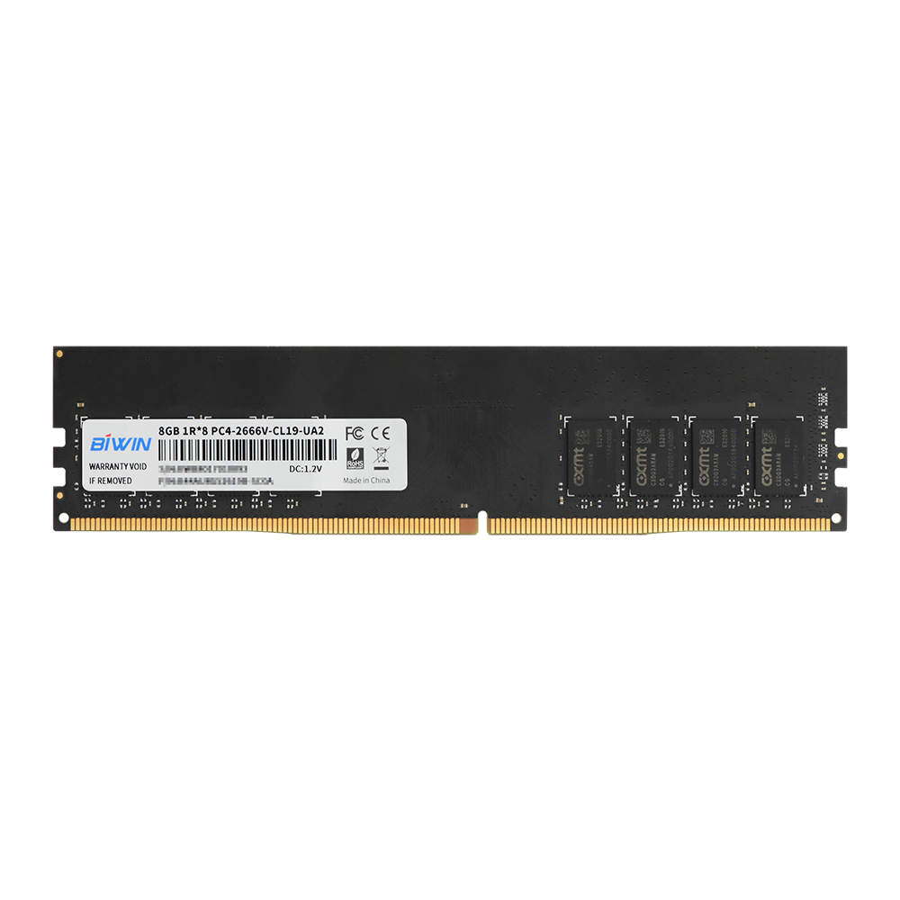 BIWIN V100 DDR4 U-DIMM